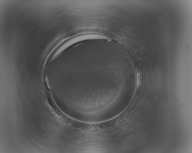 X0000056330243200509021637