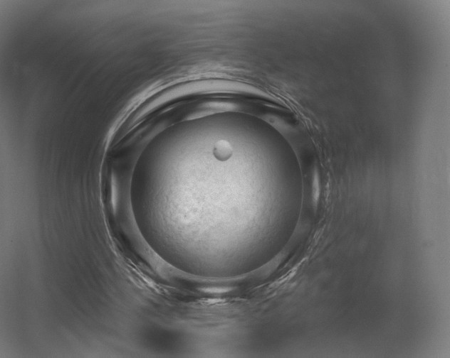 X0000056330244200509021637