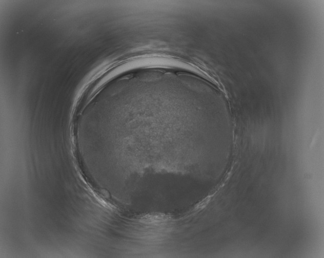 X0000056330245200509021637