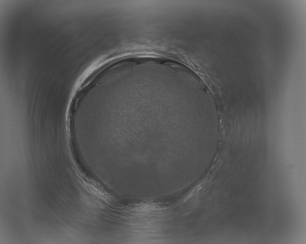 X0000056330246200509021637