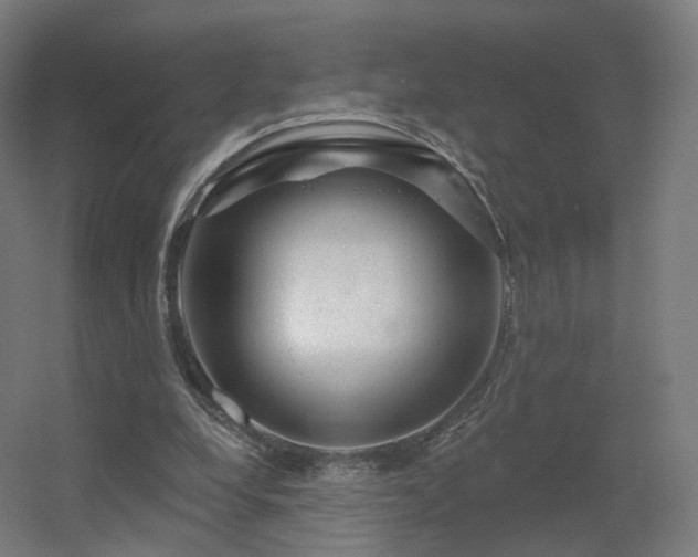 X0000056330248200509021637