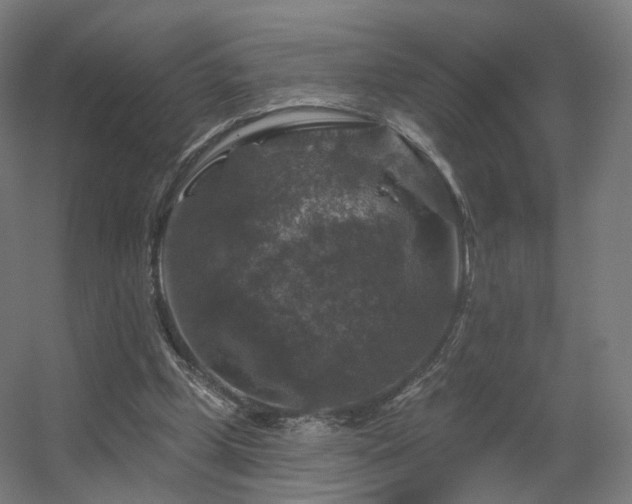 X0000056330249200509021637