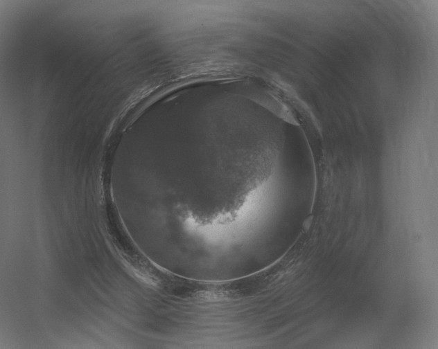 X0000056330250200509021637