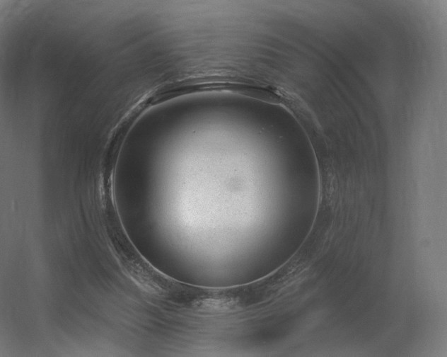 X0000056330251200509021637