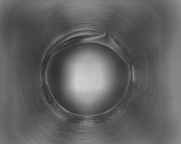 X0000056330252200509021637