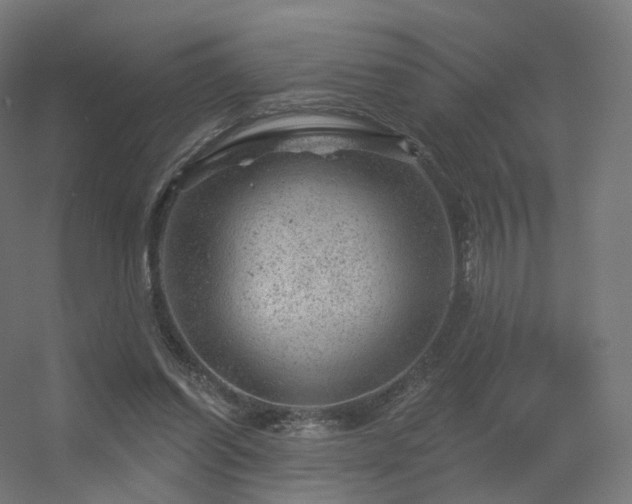 X0000056330254200509021637