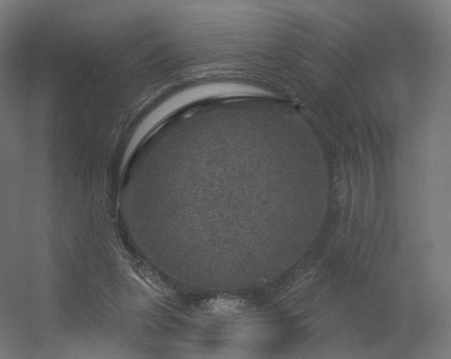 X0000056330255200509021637