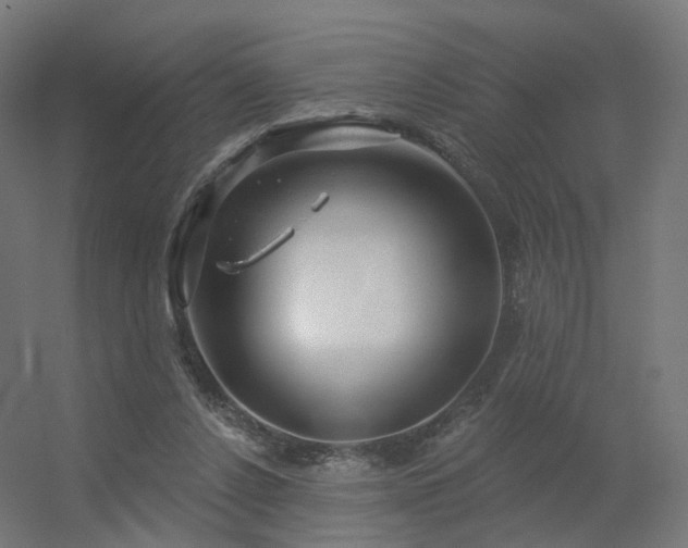 X0000056330256200509021637