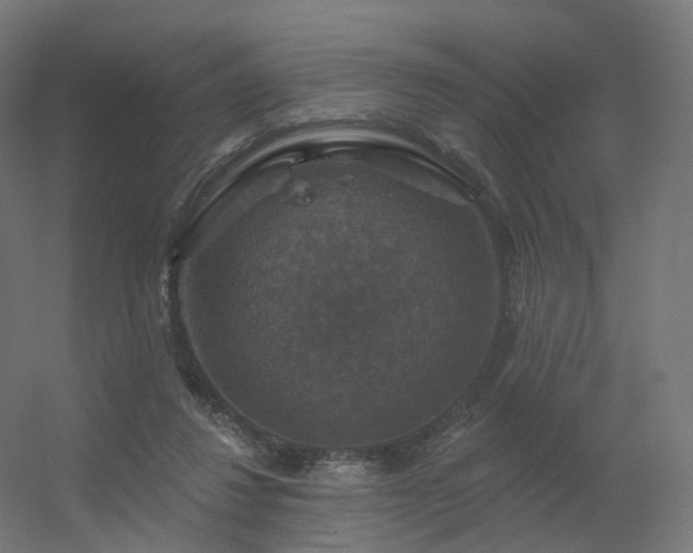 X0000056330260200509021637