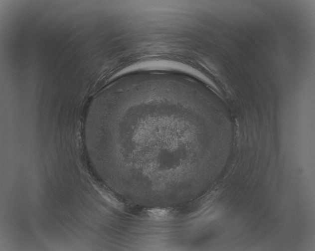 X0000056330265200509021637