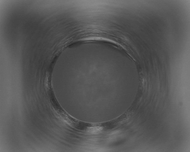 X0000056330266200509021637