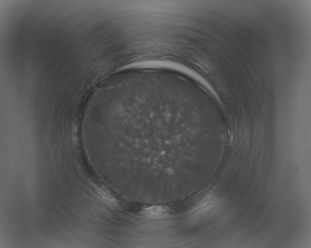 X0000056330269200509021637