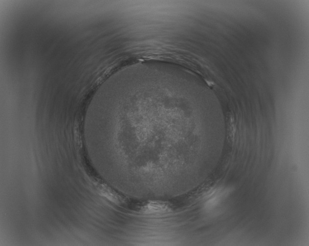 X0000056330270200509021637