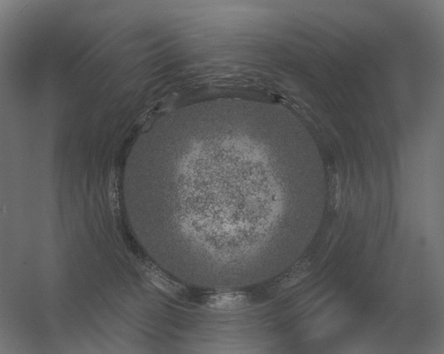 X0000056330274200509021637