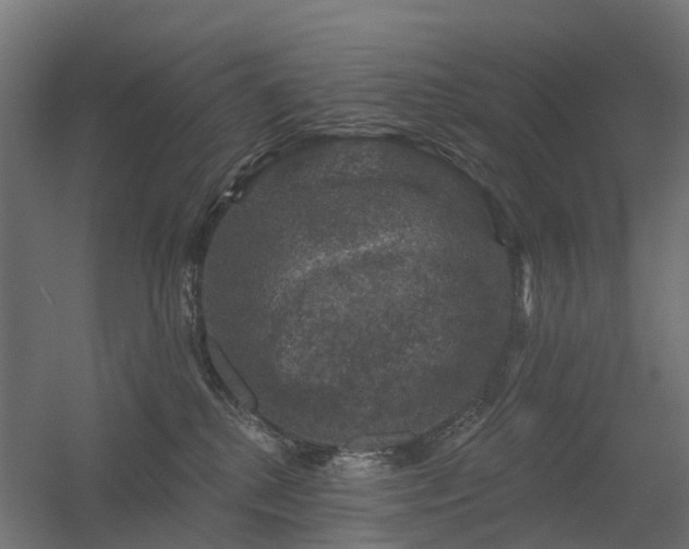 X0000056330280200509021637