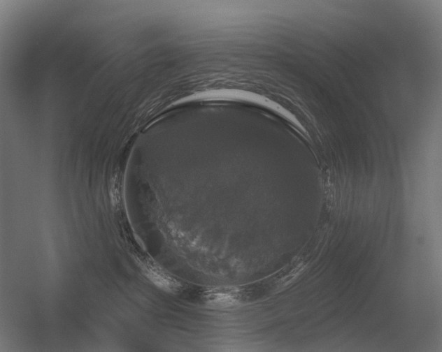 X0000056330285200509021637