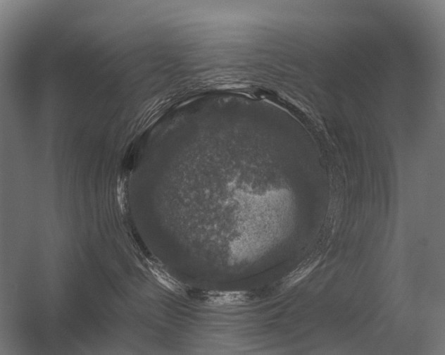 X0000056330288200509021637