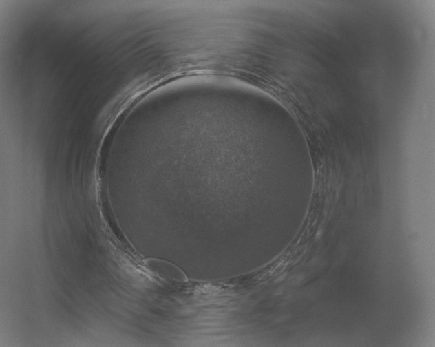 X0000056330290200509021637