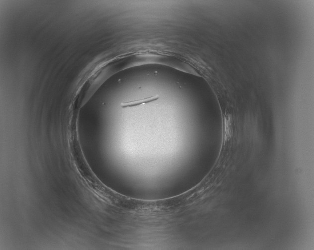 X0000056330291200509021636