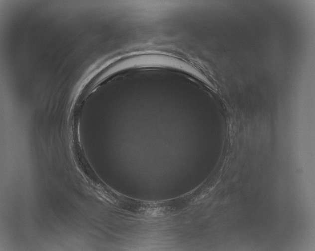 X0000056330295200509021636