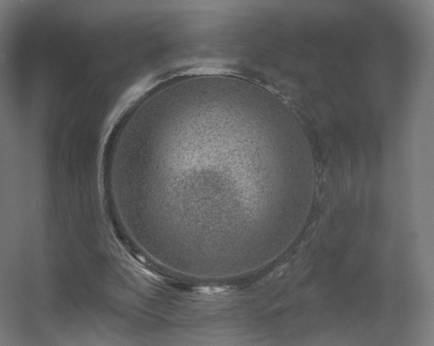 X0000056330296200509021636