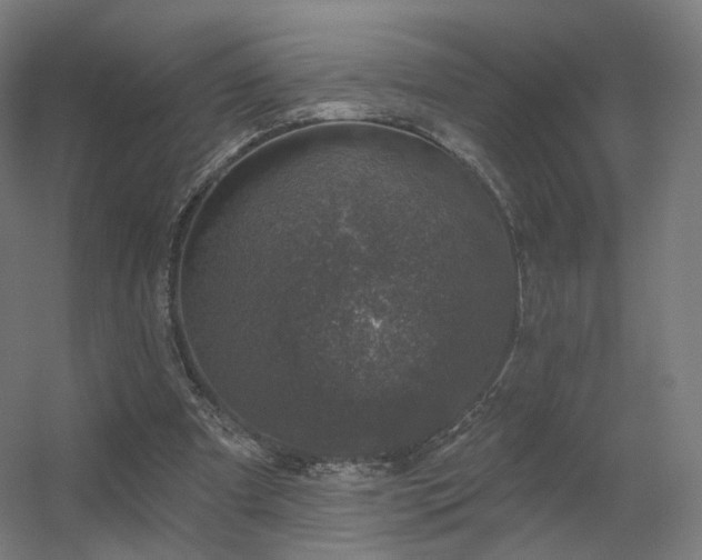 X0000056330297200509021636