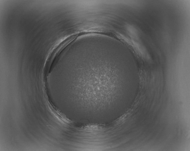 X0000056330298200509021636