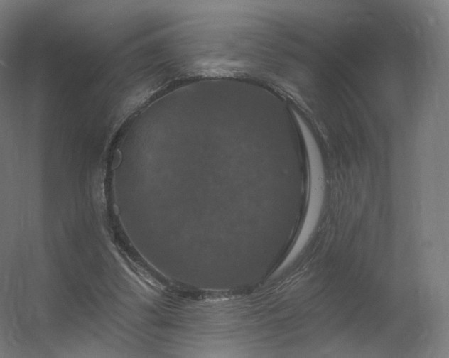 X0000056330299200509021636