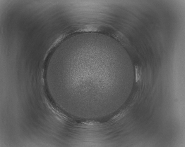 X0000056330300200509021636