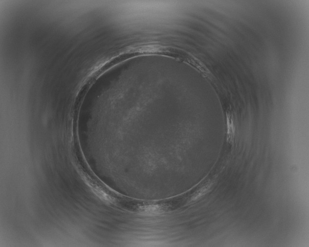 X0000056330301200509021636