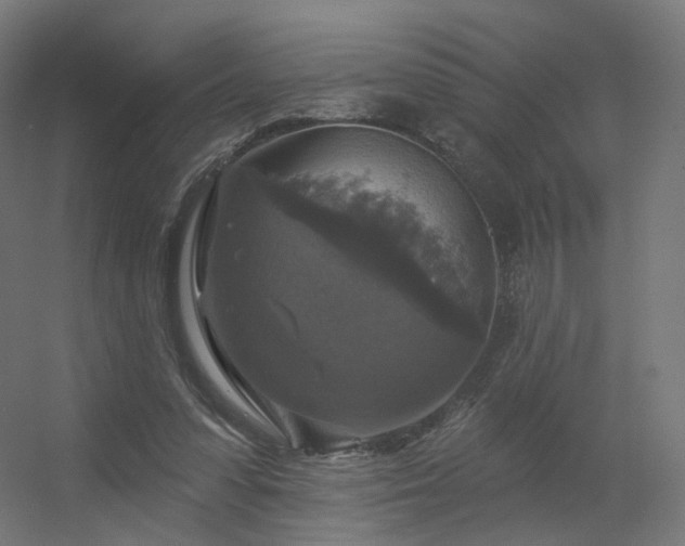 X0000056330303200509021636