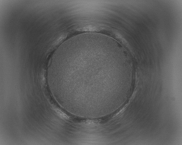 X0000056330305200509021636