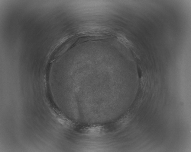 X0000056330306200509021636