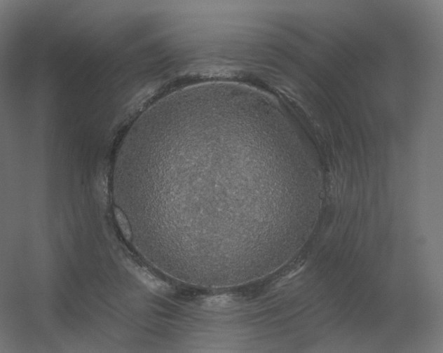 X0000056330309200509021636