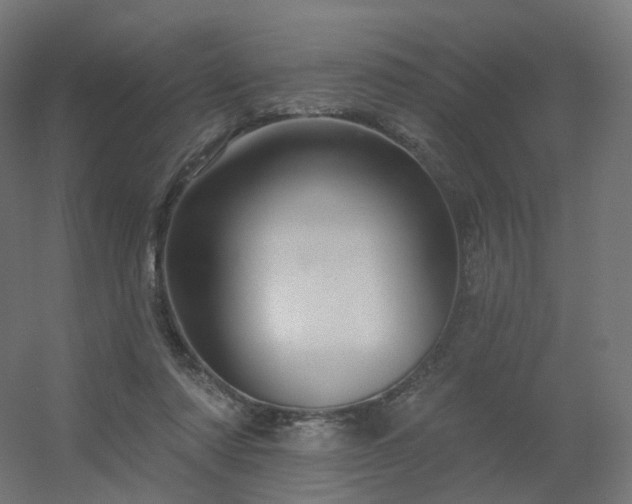 X0000056330310200509021636