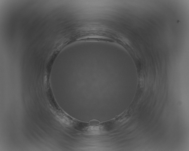 X0000056330314200509021636