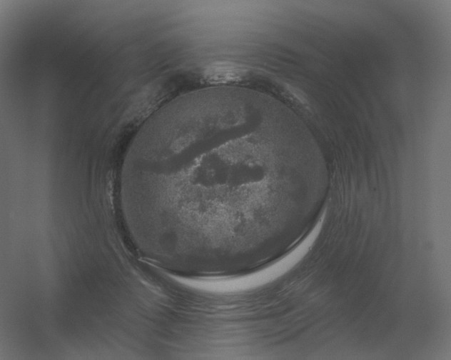 X0000056330315200509021636