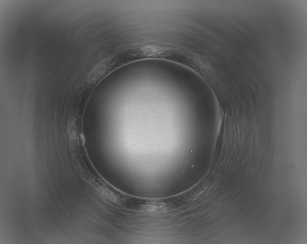 X0000056330317200509021636