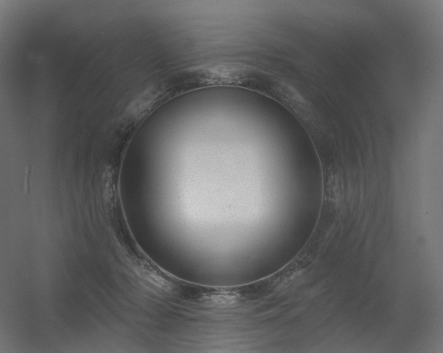 X0000056330318200509021636