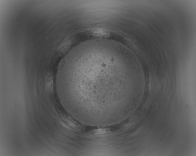 X0000056330320200509021636