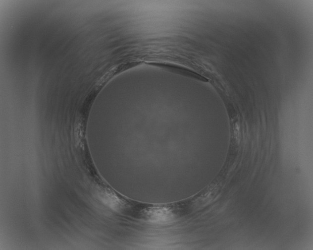 X0000056330322200509021636