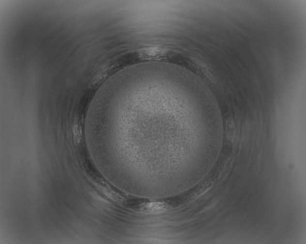 X0000056330324200509021636