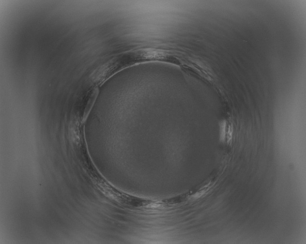 X0000056330325200509021636