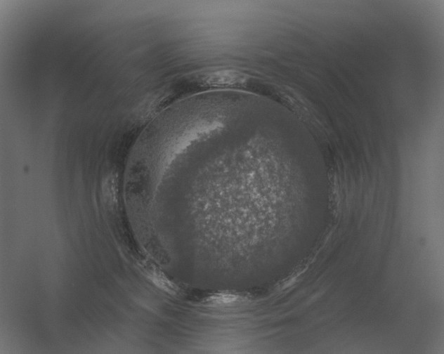 X0000056330326200509021636