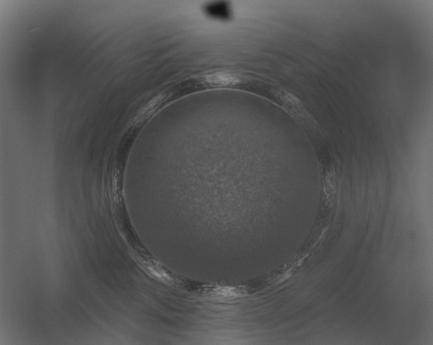 X0000056330330200509021636