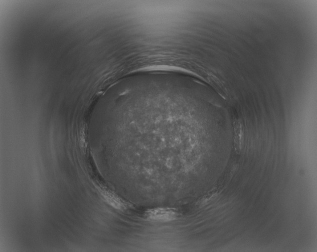 X0000056330331200509021636