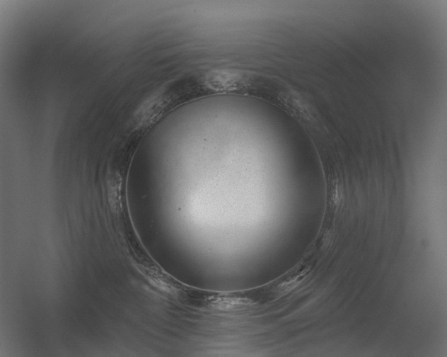 X0000056330332200509021636