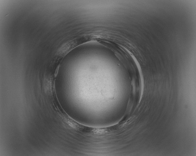 X0000056330333200509021636