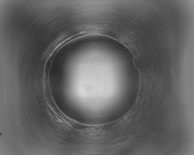 X0000056330338200509021635