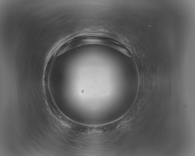 X0000056330340200509021635